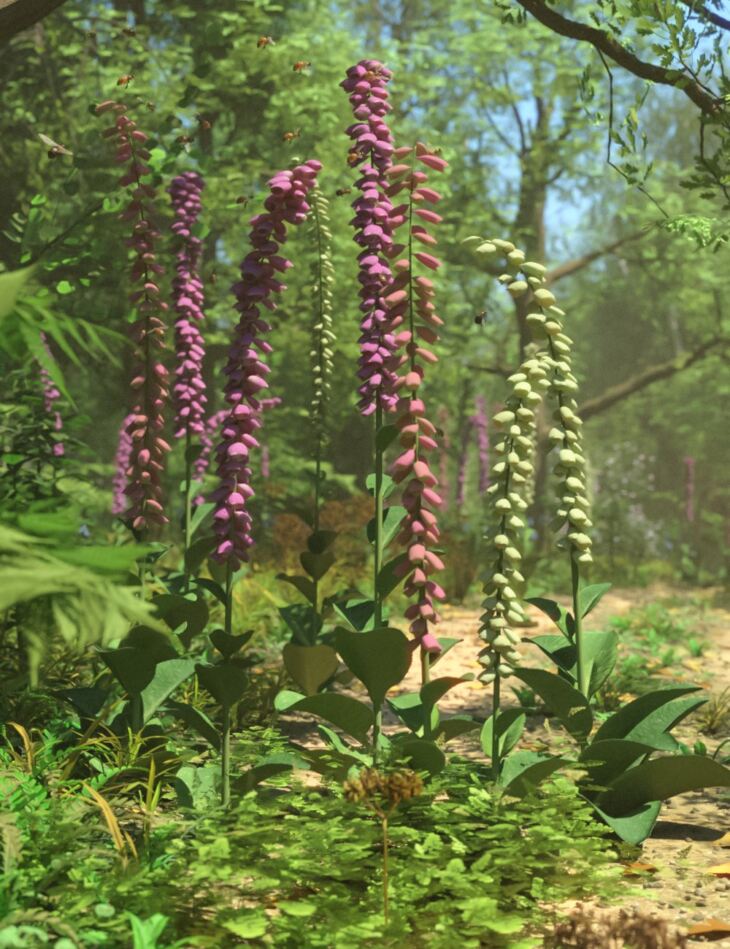 Foxglove Plants – Wild Flowers for Daz Studio
